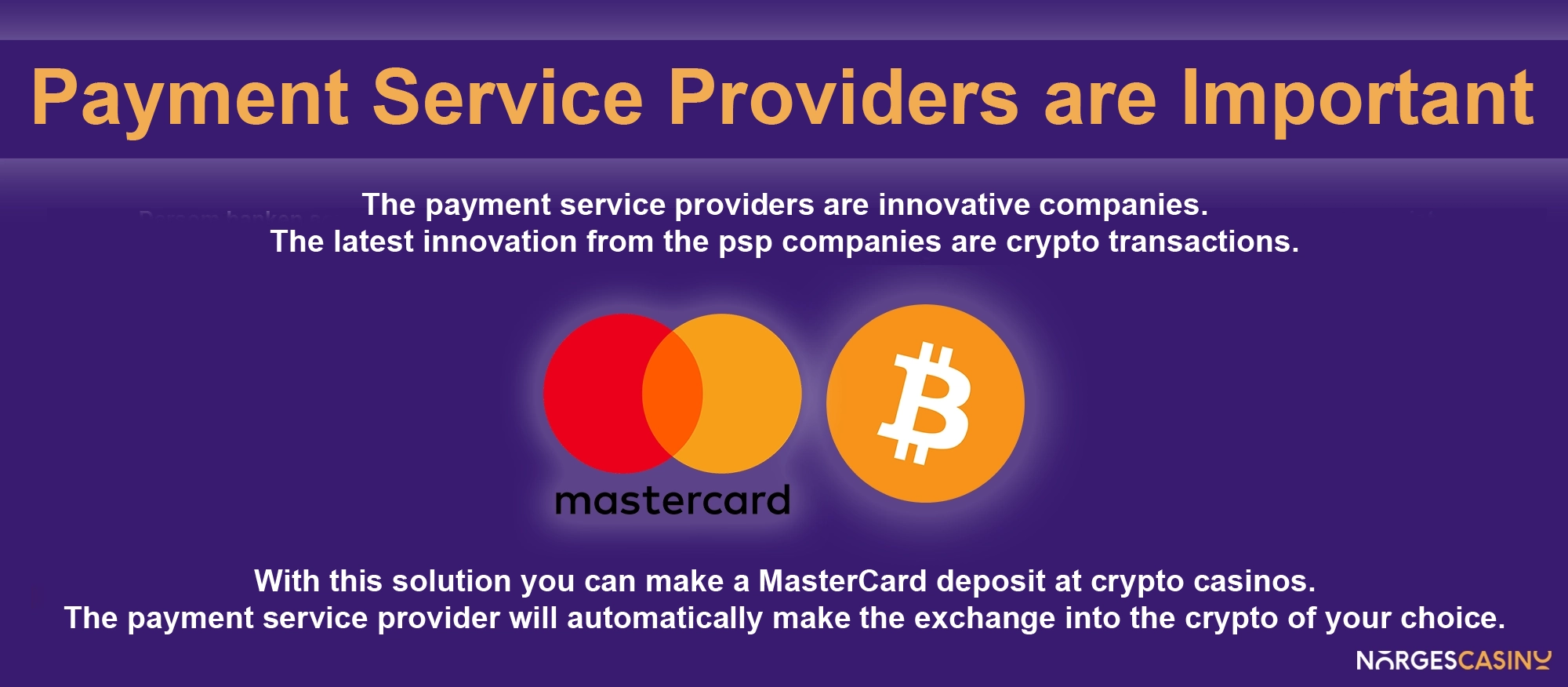 Payment Service Providers